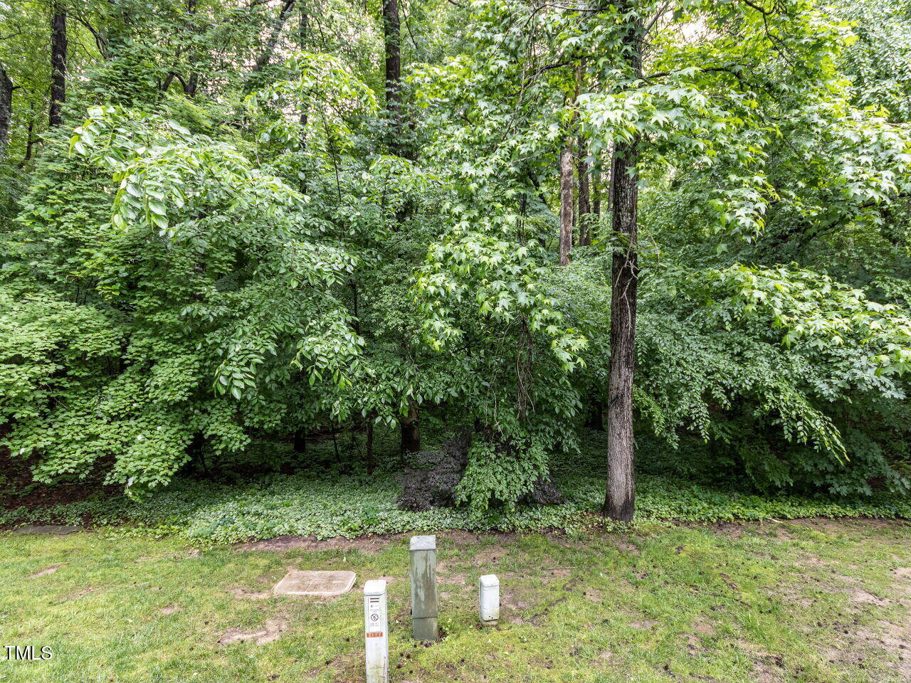 4646 Fawnbrook Circle Raleigh, NC 27612 - Photo 28 of 31 029-1280x960-backyard