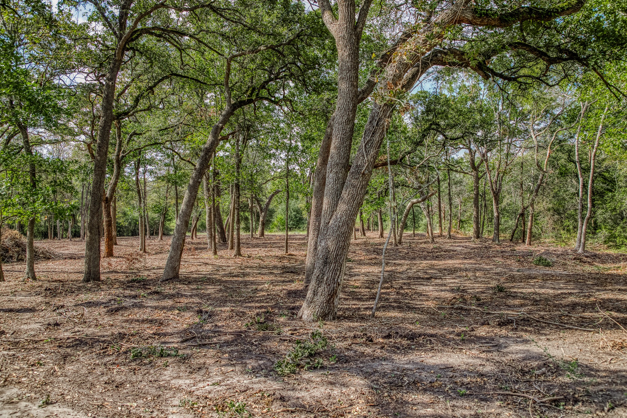 2 Sun Oil Road Brenham, TX 77833 - Photo 9 of 35