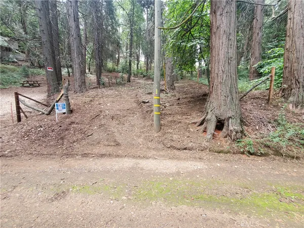 $30,000 | 47 El Valle, Cedarpines Park, CA 92322