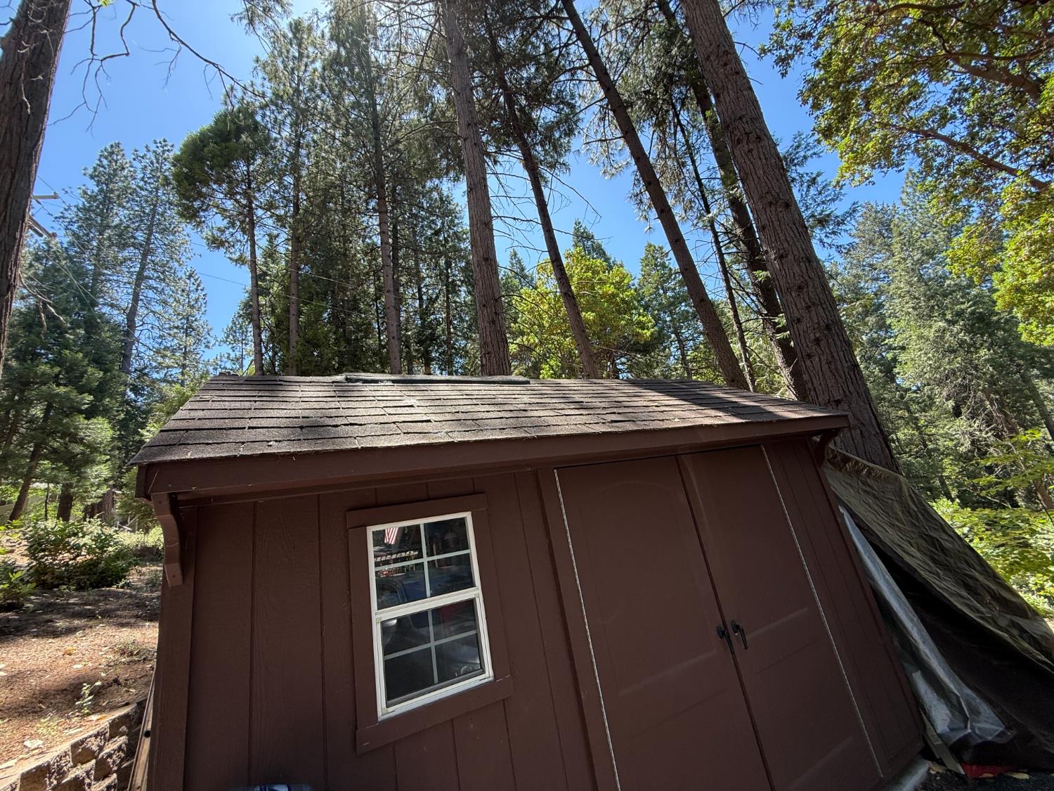 23445 Robin Road Pioneer, CA 95666 - Photo 17 of 54