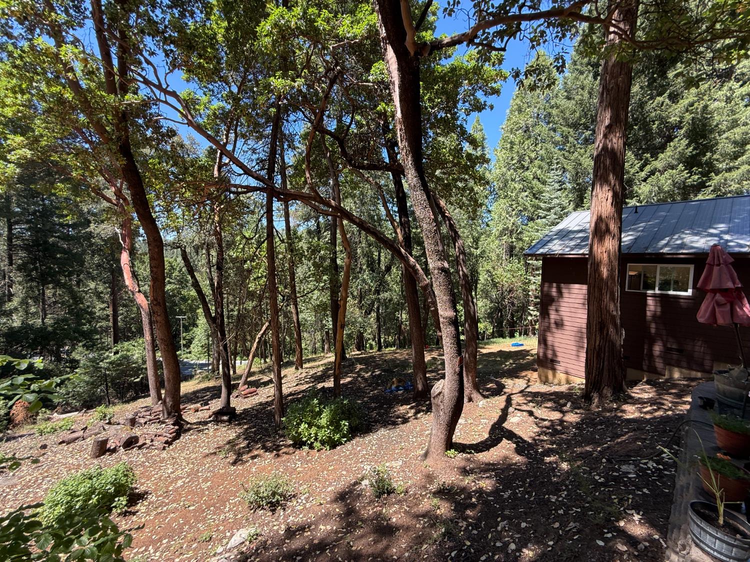 23445 Robin Road Pioneer, CA 95666 - Photo 33 of 54