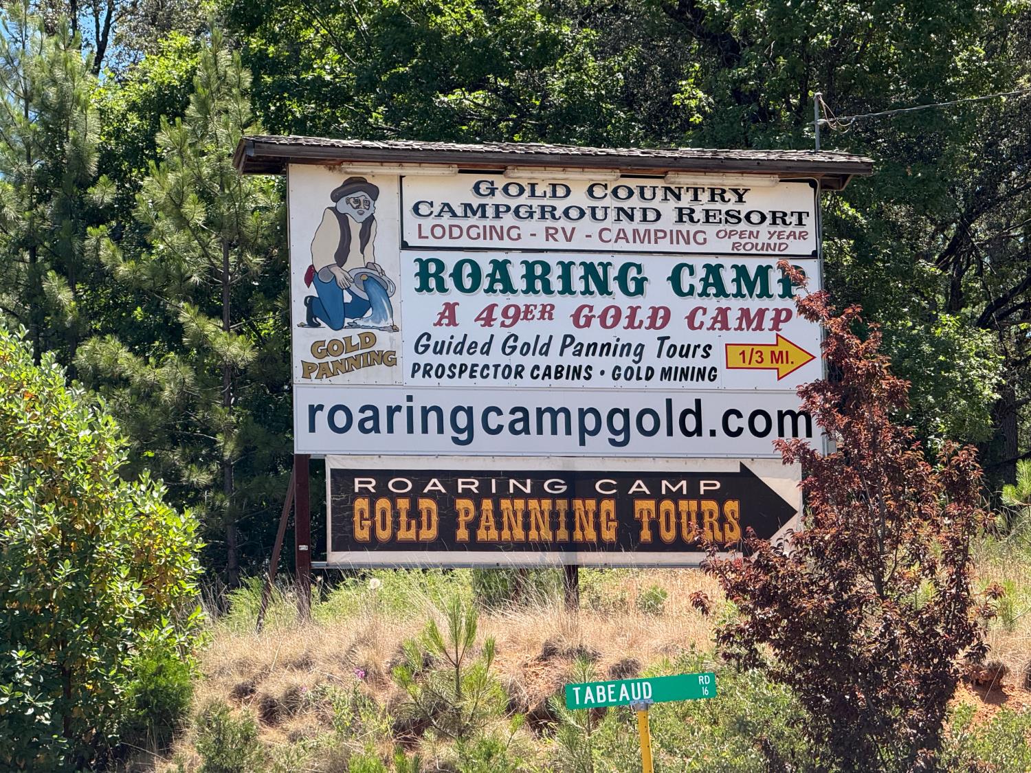 23445 Robin Road Pioneer, CA 95666 - Photo 35 of 54