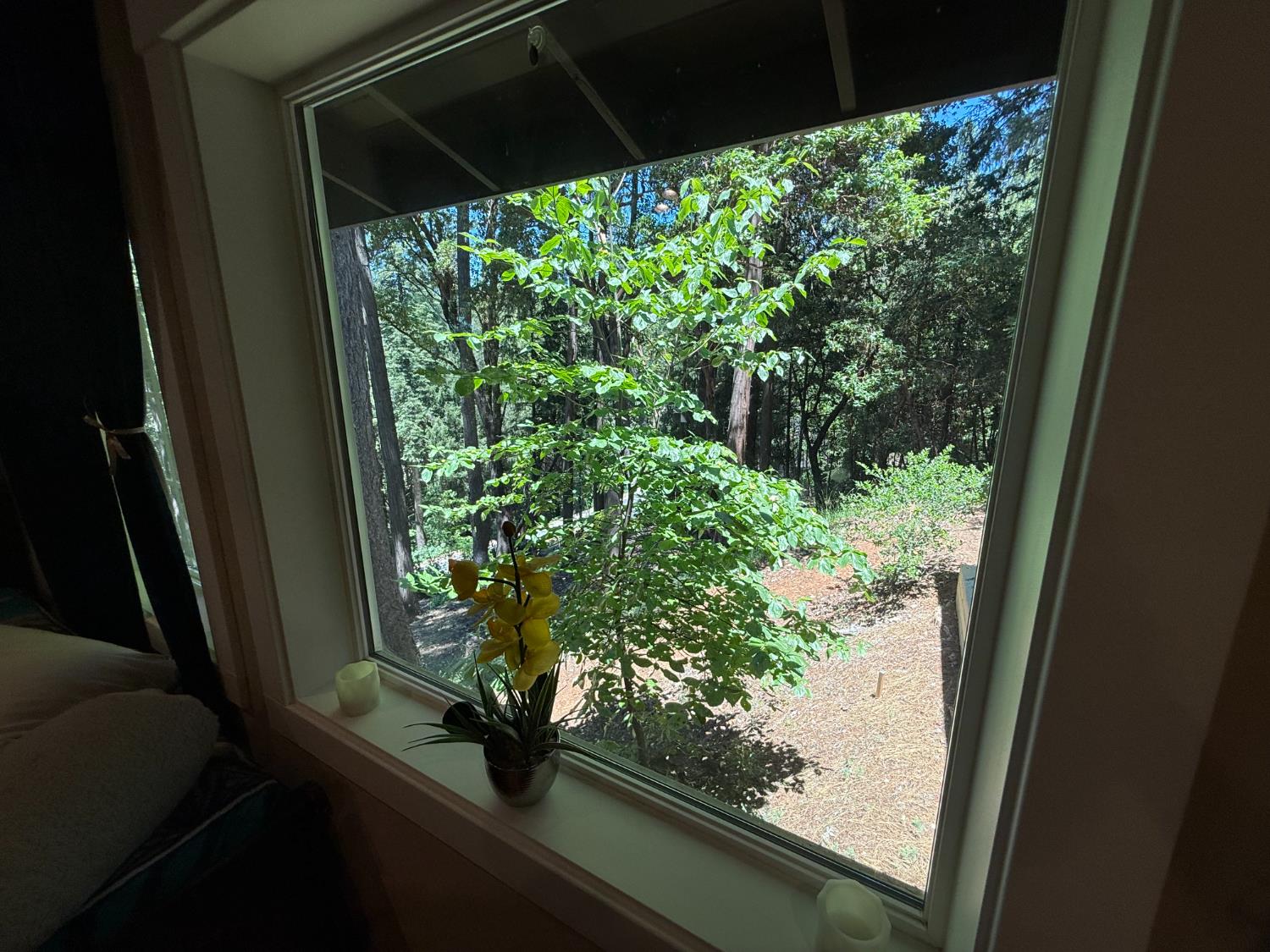 23445 Robin Road Pioneer, CA 95666 - Photo 42 of 54