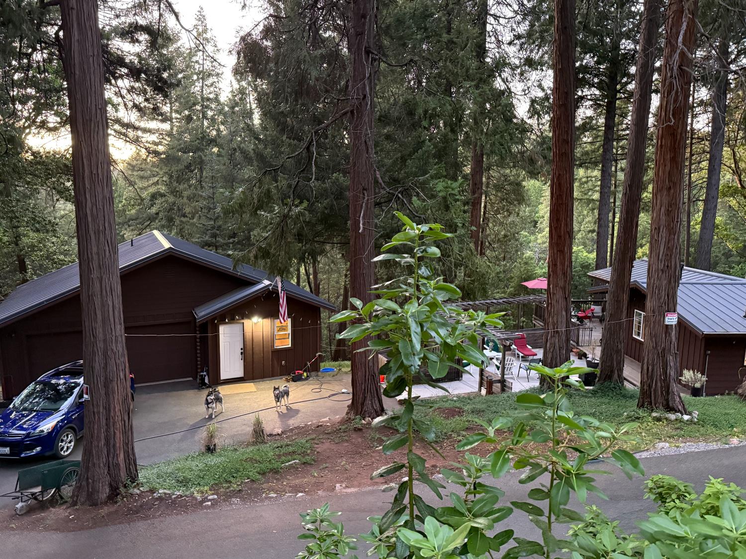 23445 Robin Road Pioneer, CA 95666 - Photo 47 of 54