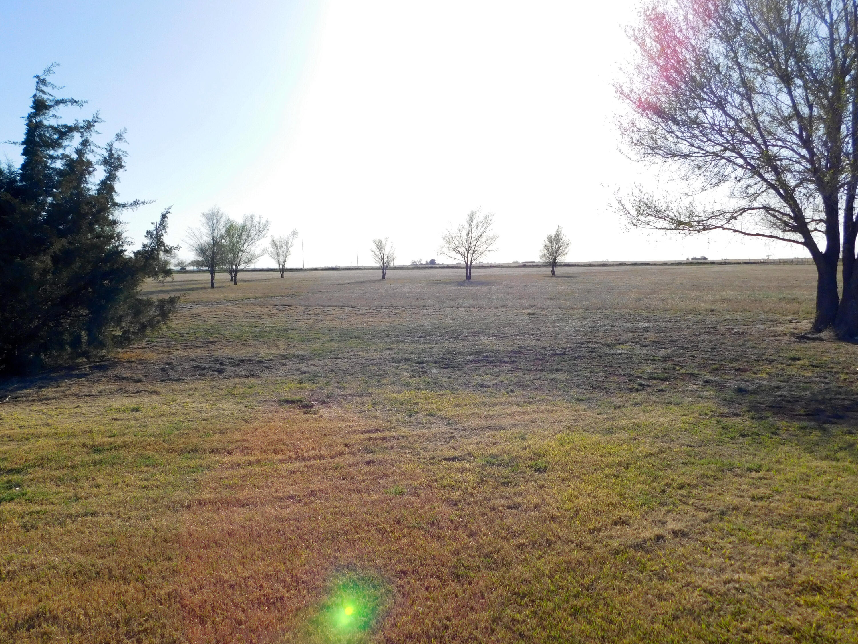 1366 Highway 84 Muleshoe, TX 79347 - Photo 33 of 44 DSCN1272