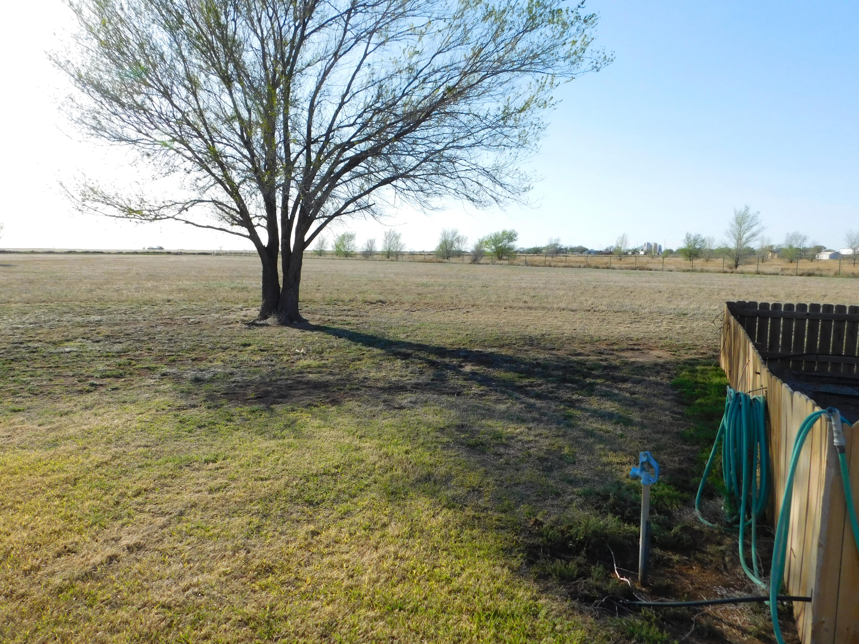 1366 Highway 84 Muleshoe, TX 79347 - Photo 34 of 44 DSCN1273