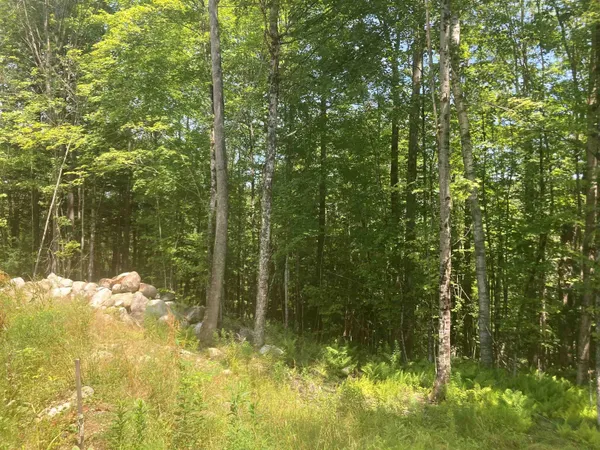 $99,998 | New Aldrich Road, Grantham, NH 03753