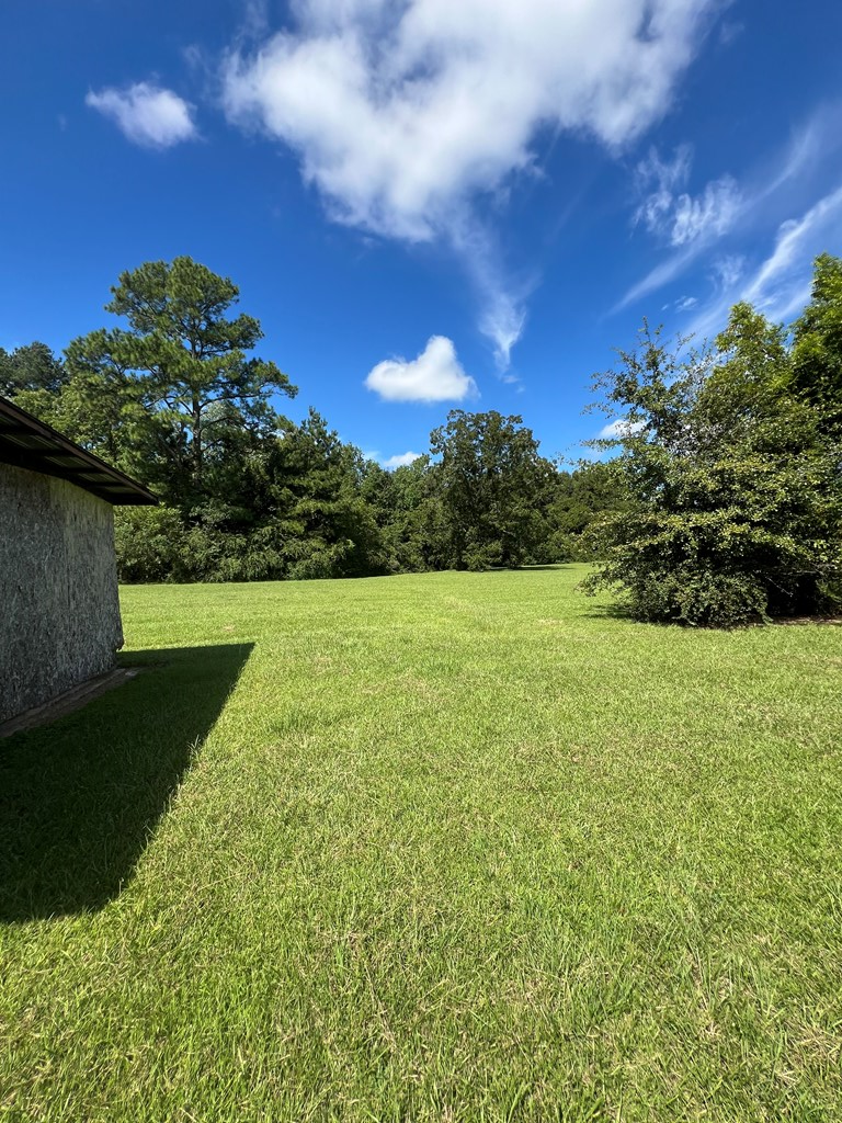 261 C M Phillips Road Kinston, AL 36453 - Photo 15 of 16 Gallery Image 15