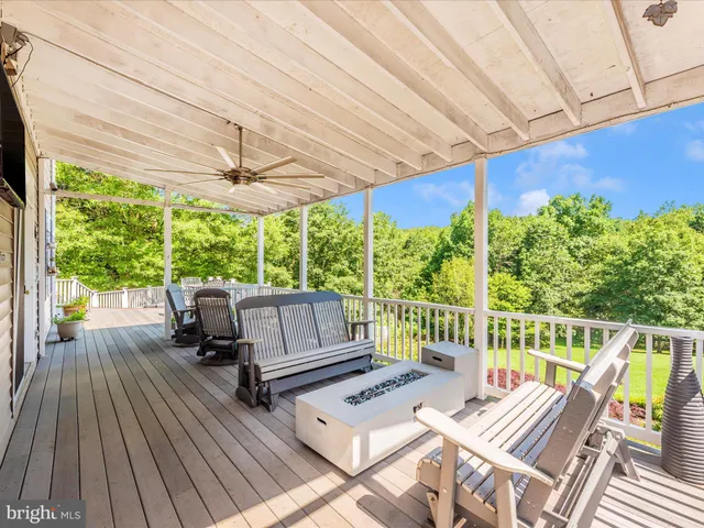 a view of a field with an trees