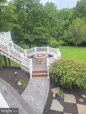 a view of a yard with plants and large trees