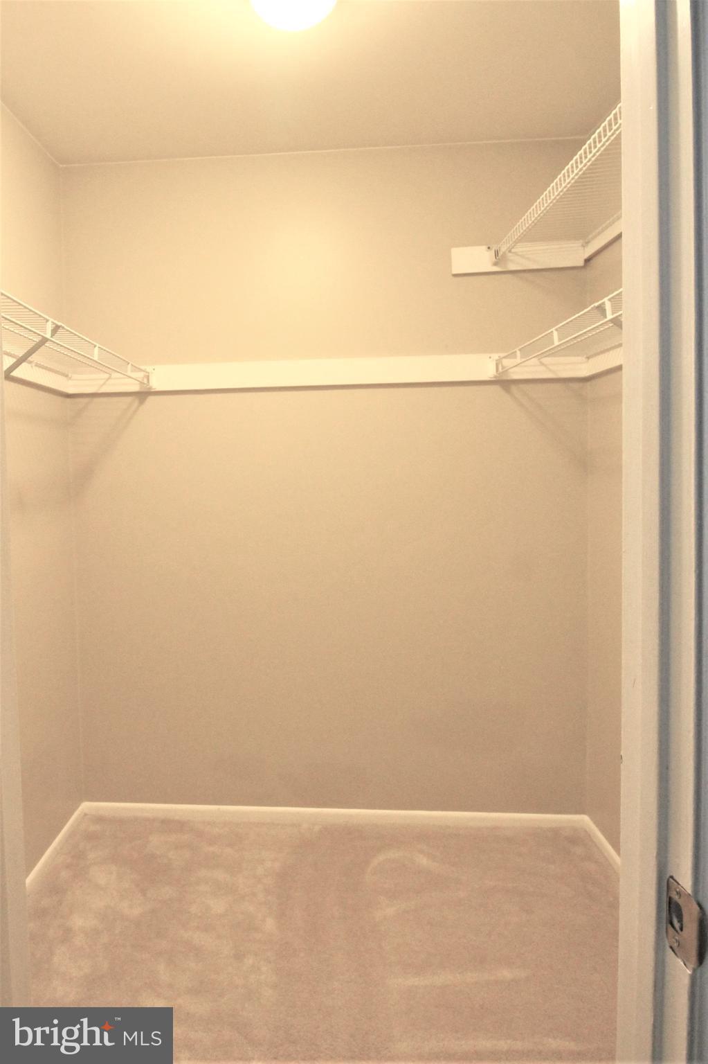 1783 Jonathan Way, Unit H Reston, VA 20190 - Photo 10 of 27 Walk-in Closet