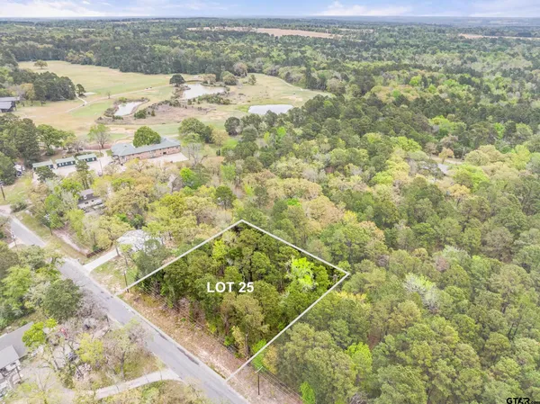 $30,000 | Lot 25 Acr 319, Frankston, TX 75763