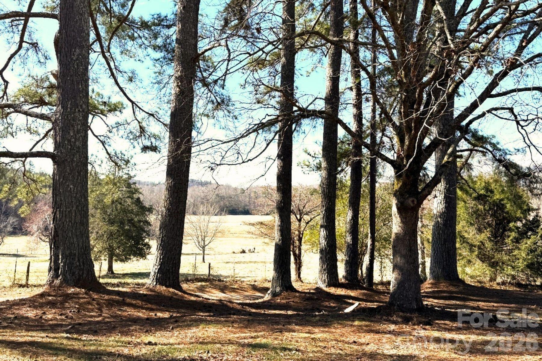 188 California Branch Road Union Mills, NC 28167 - Photo 25 of 32