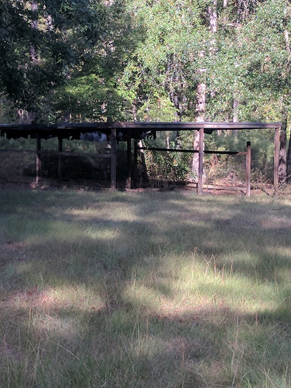 244 Margaret's Road Thomson, GA 30824 - Photo 17 of 18