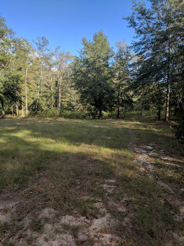 244 Margaret's Road Thomson, GA 30824 - Photo 18 of 18