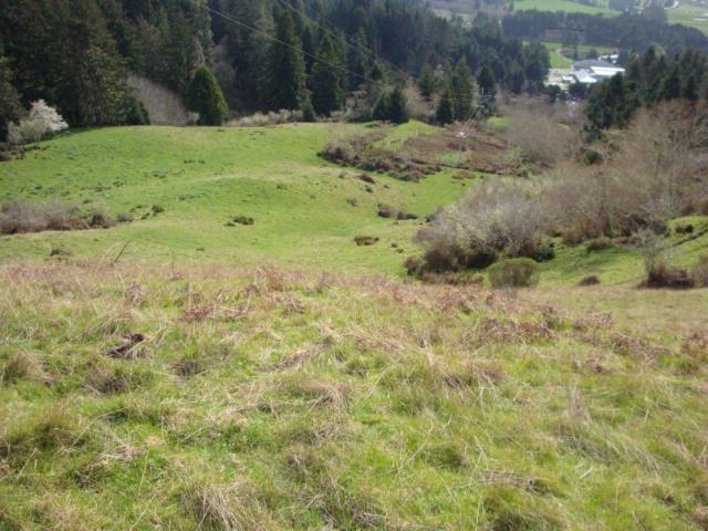 0 Berta Road Eureka, CA 95503 - Photo 6 of 20
