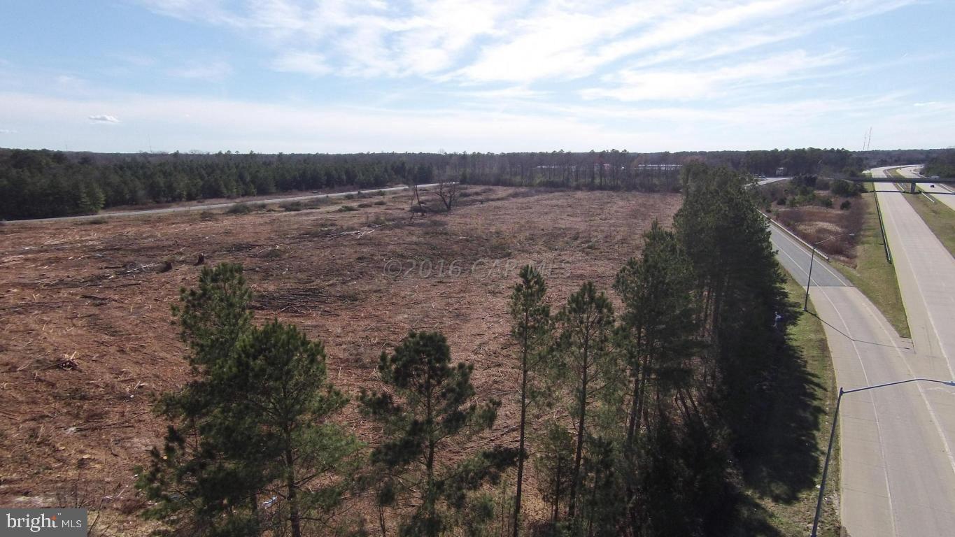 a view of a dry yard with wooden fence