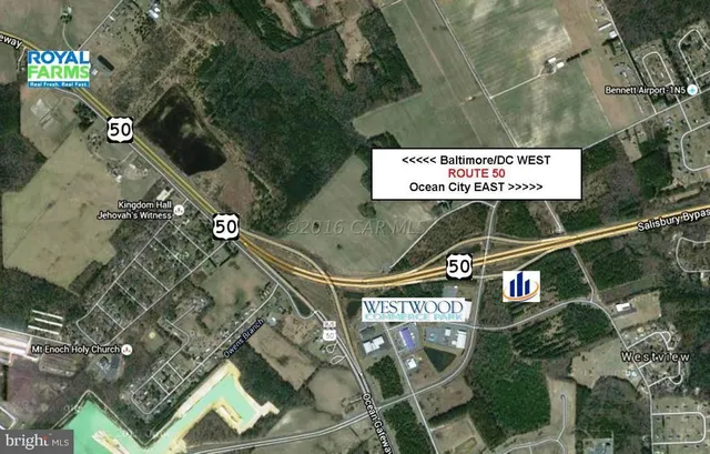 view of a black and white photo