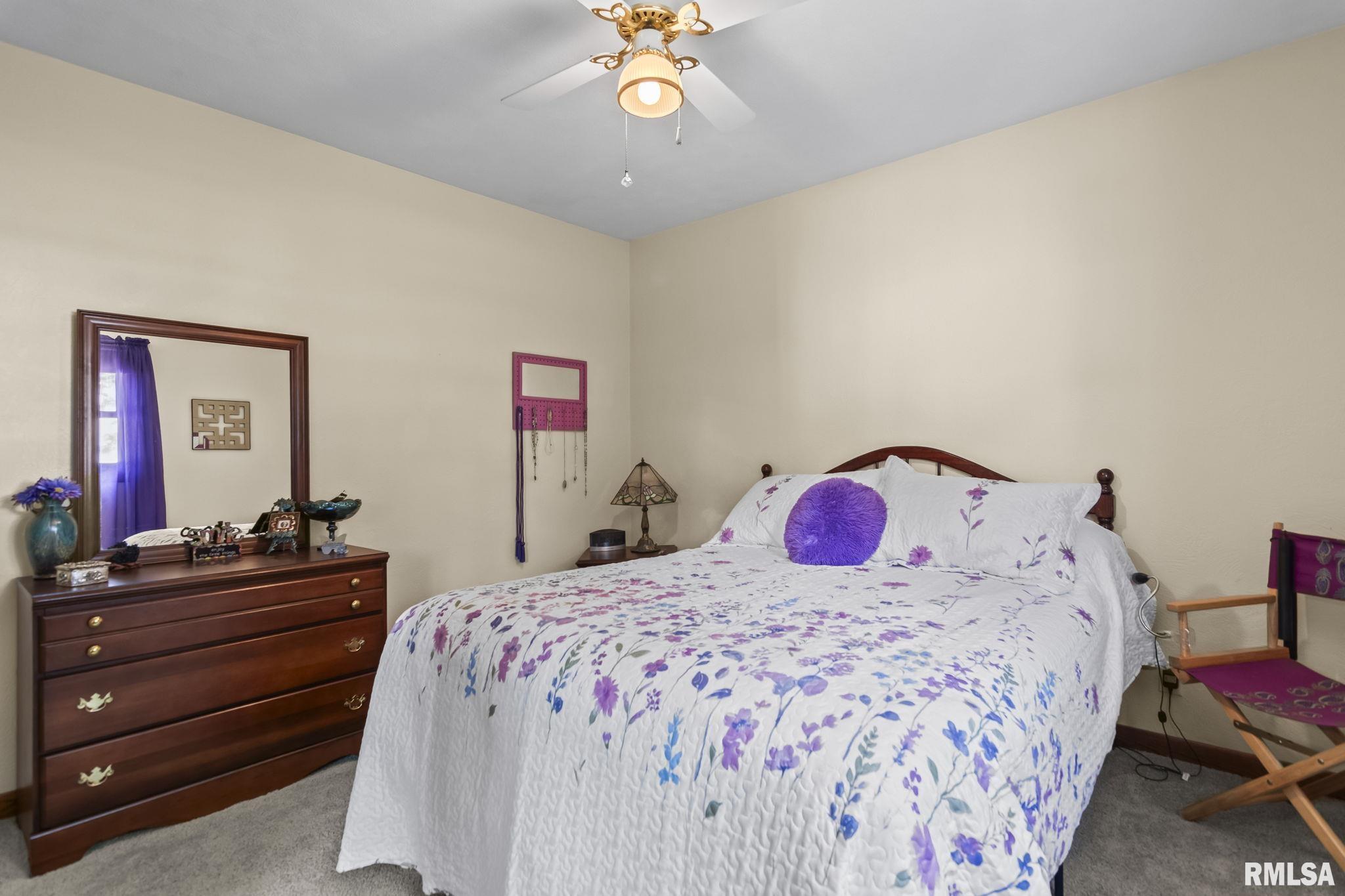 10553 South Main Street Chatham, IL 62629 - Photo 27 of 44