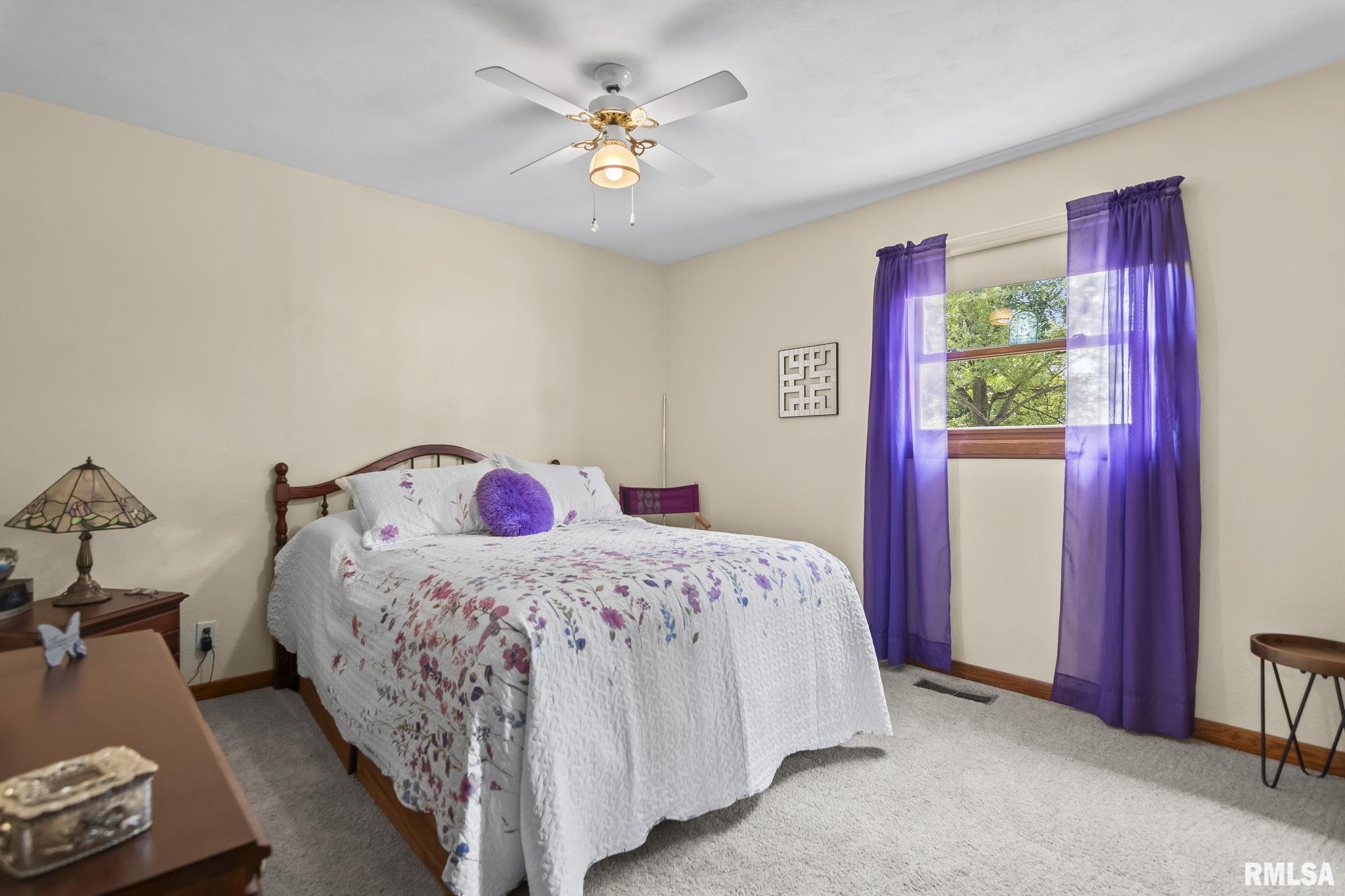 10553 South Main Street Chatham, IL 62629 - Photo 28 of 44