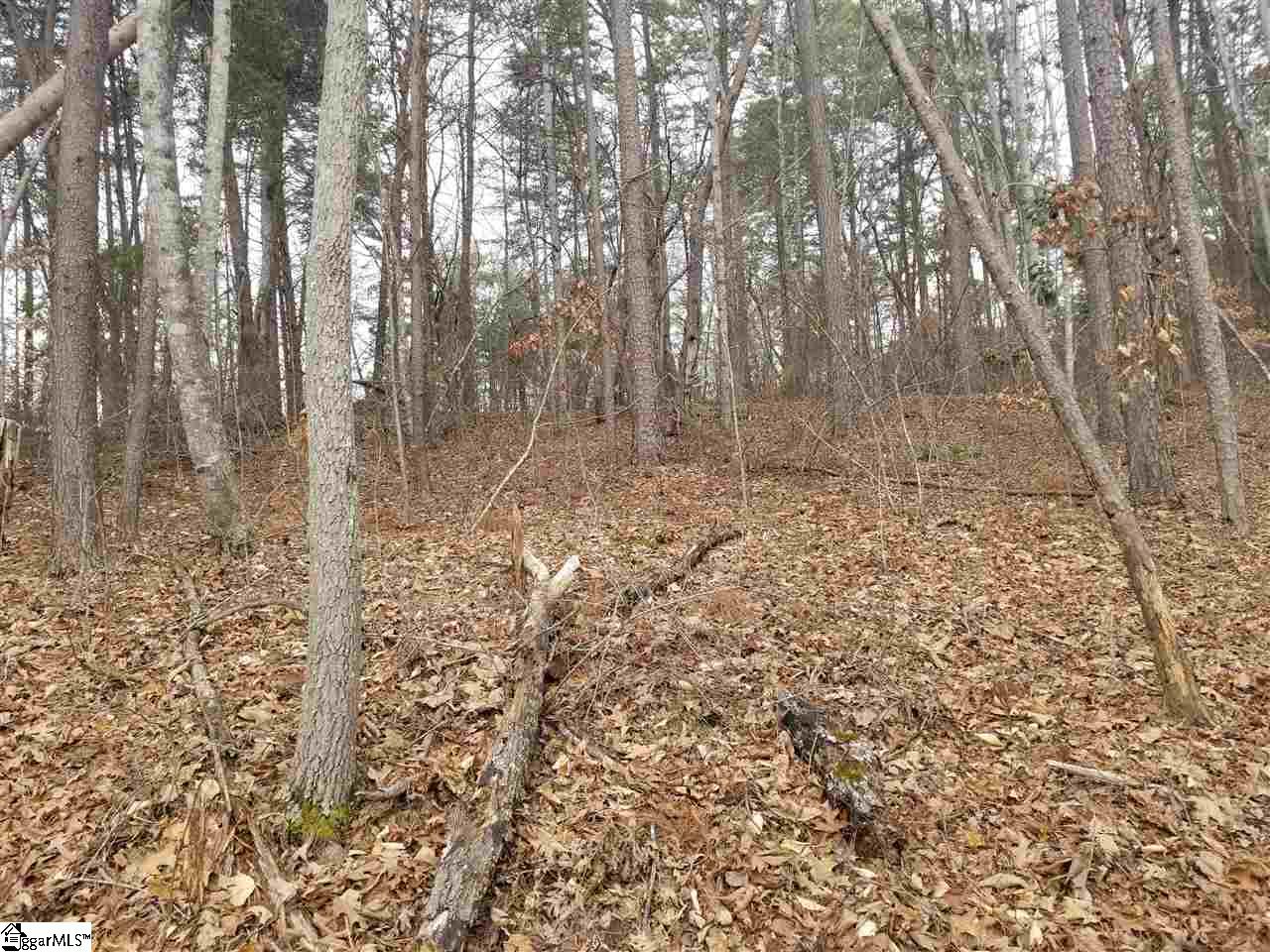 60 Views Court Seneca, SC 29672 - Photo 2 of 2
