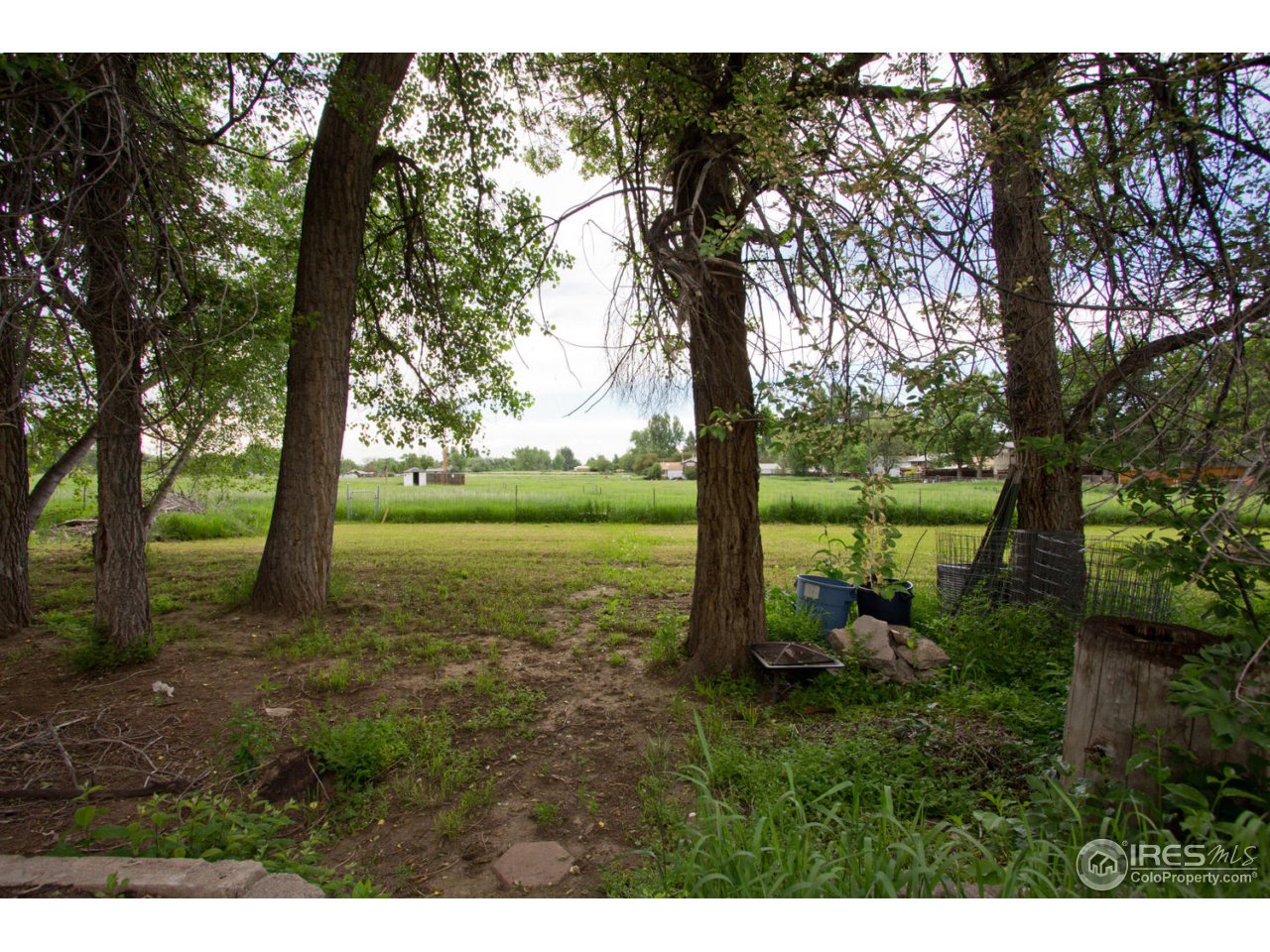 1600 Maple Street Fort Collins, CO 80521 - Photo 7 of 24 Open Area Behind