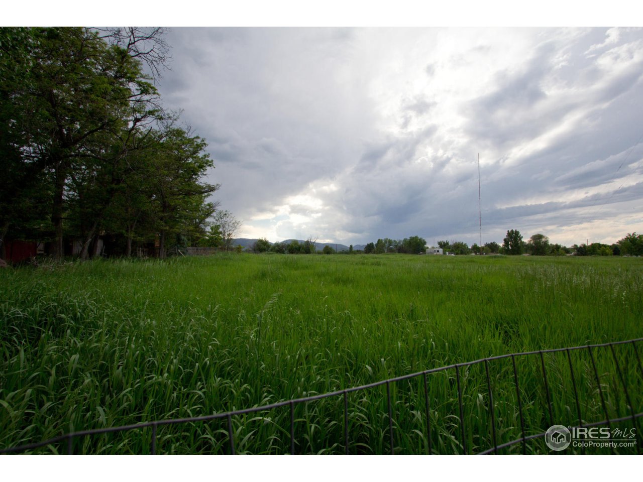1600 Maple Street Fort Collins, CO 80521 - Photo 8 of 24 Open Area Behind