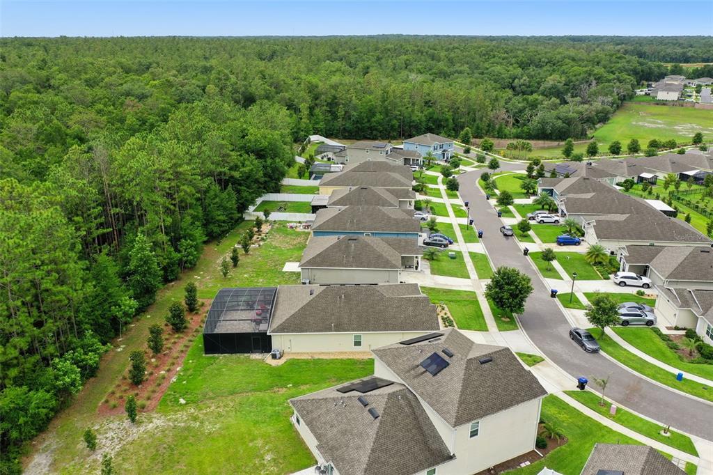 4810 Magnetite Loop Mount Mount Dora, FL 32757 - Photo 58 of 67
