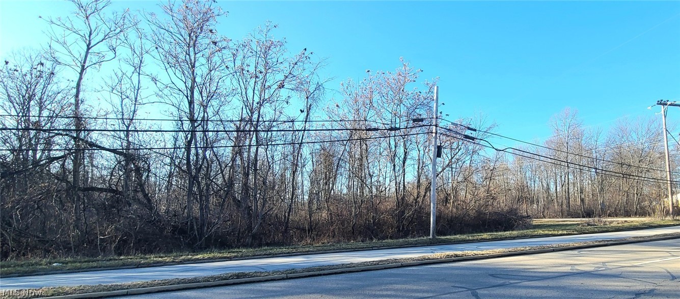 1251 Jacobs Road Youngstown, OH 44505 - Photo 3 of 6 Wooded lot