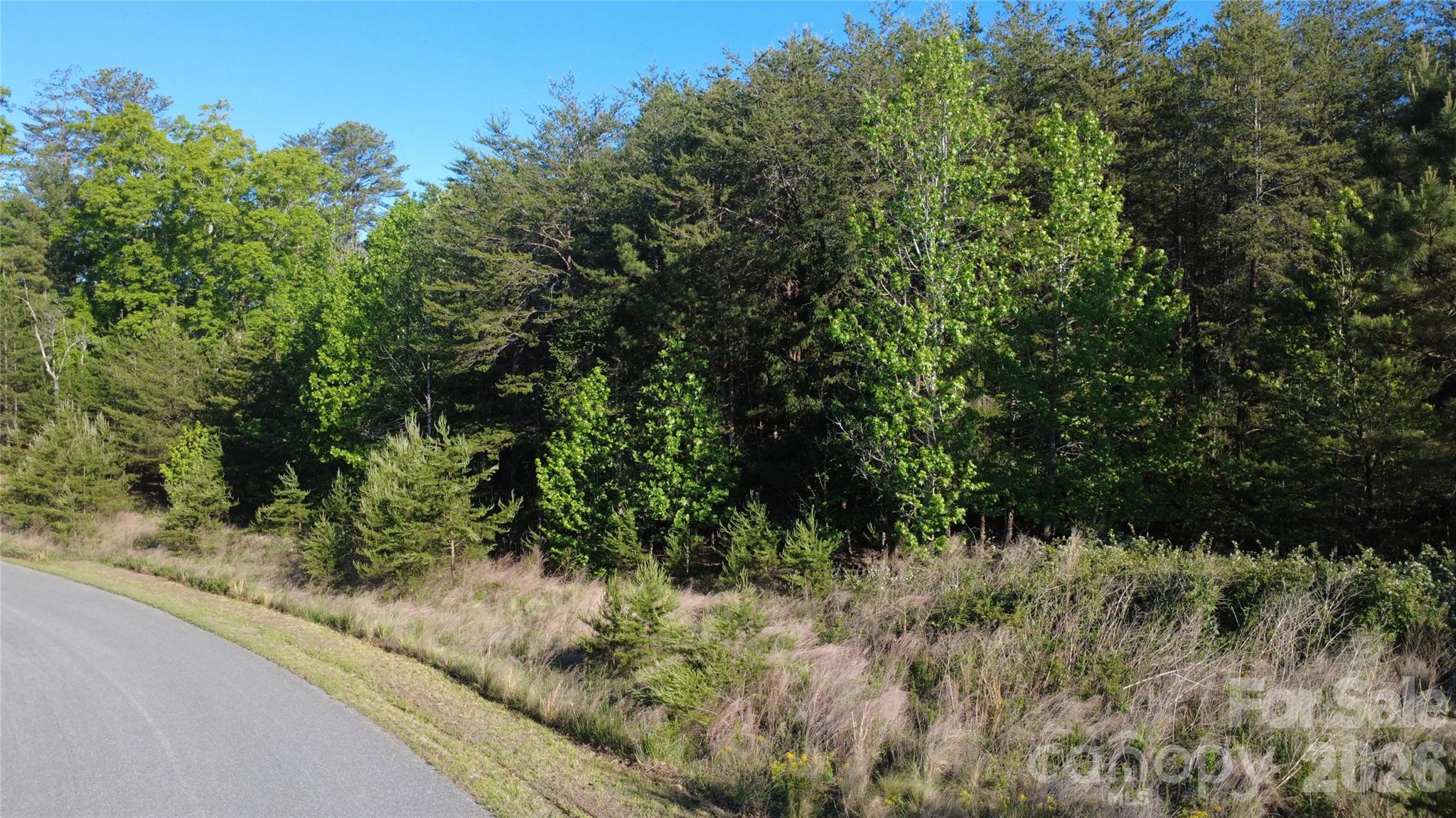 431 Ridge Point Road, Unit 7 Nebo, NC 28761 - Photo 18 of 20