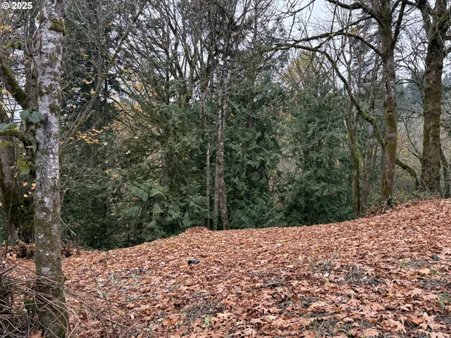 a view of a backyard of the house