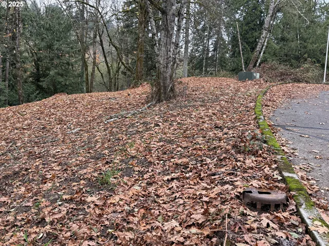 a view of a yard with a tree
