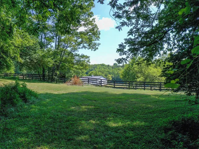 a view of an entryway with wooden floor and a potted plant