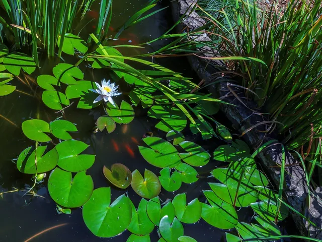 $1,575,000 | 6480 Peytonsville-Arno Road, College Grove, TN 37046