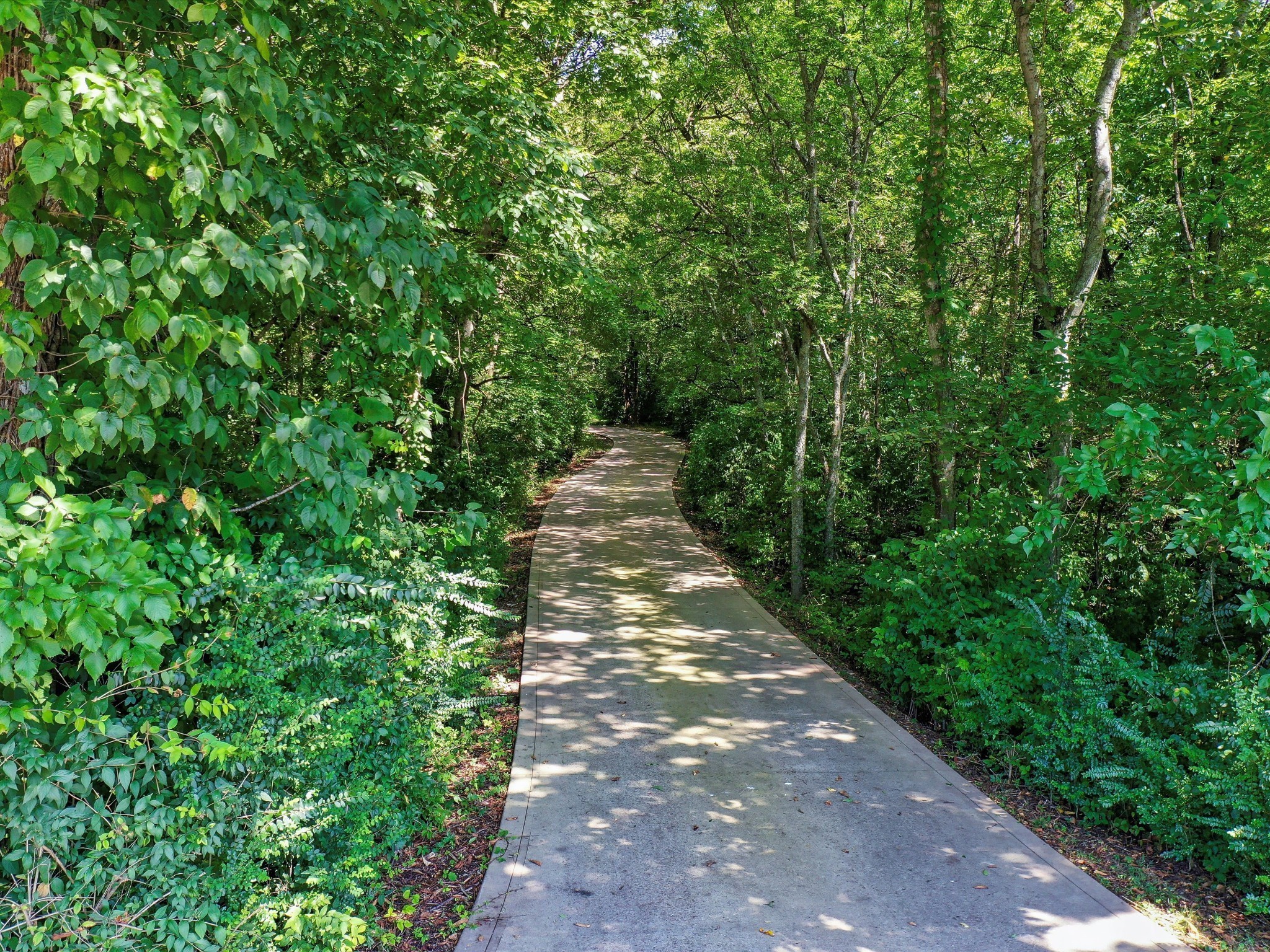 6480 Peytonsville-Arno Road College Grove, TN 37046 - Photo 80 of 96 a view of a pathway both side of yard
