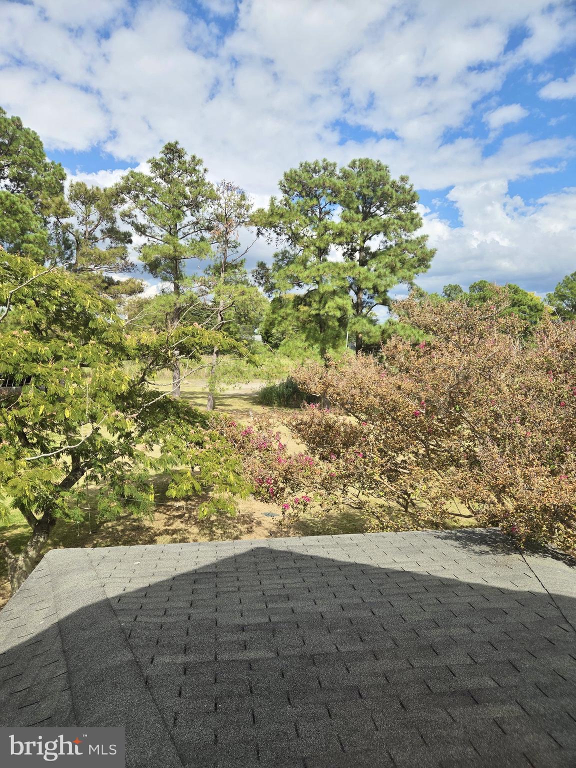 2527 Old House Point Road Fishing Creek, MD 21634 - Photo 20 of 34 a view of a yard