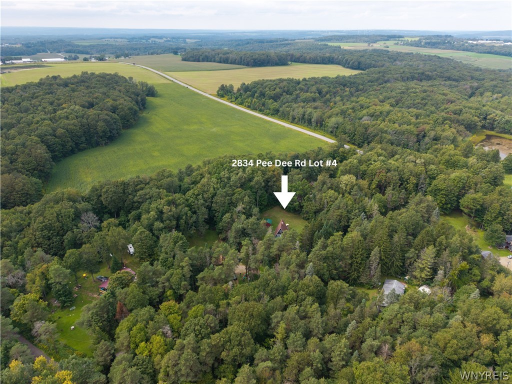 2834 Pee Dee Road, Unit 4 Wethersfield, NY 14024 - Photo 9 of 41 Drone View Arrow pointing house out