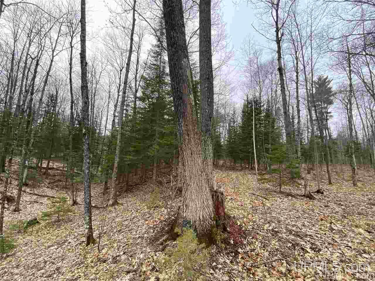 Tbd Plains Cutoff Road Baraga, MI 49908 - Photo 4 of 49