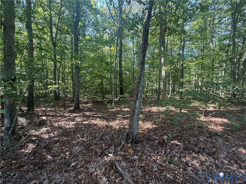 Lot 5 Dixie Hill Road Dillwyn, VA 23936 - Photo 2 of 5 Gallery Image 2