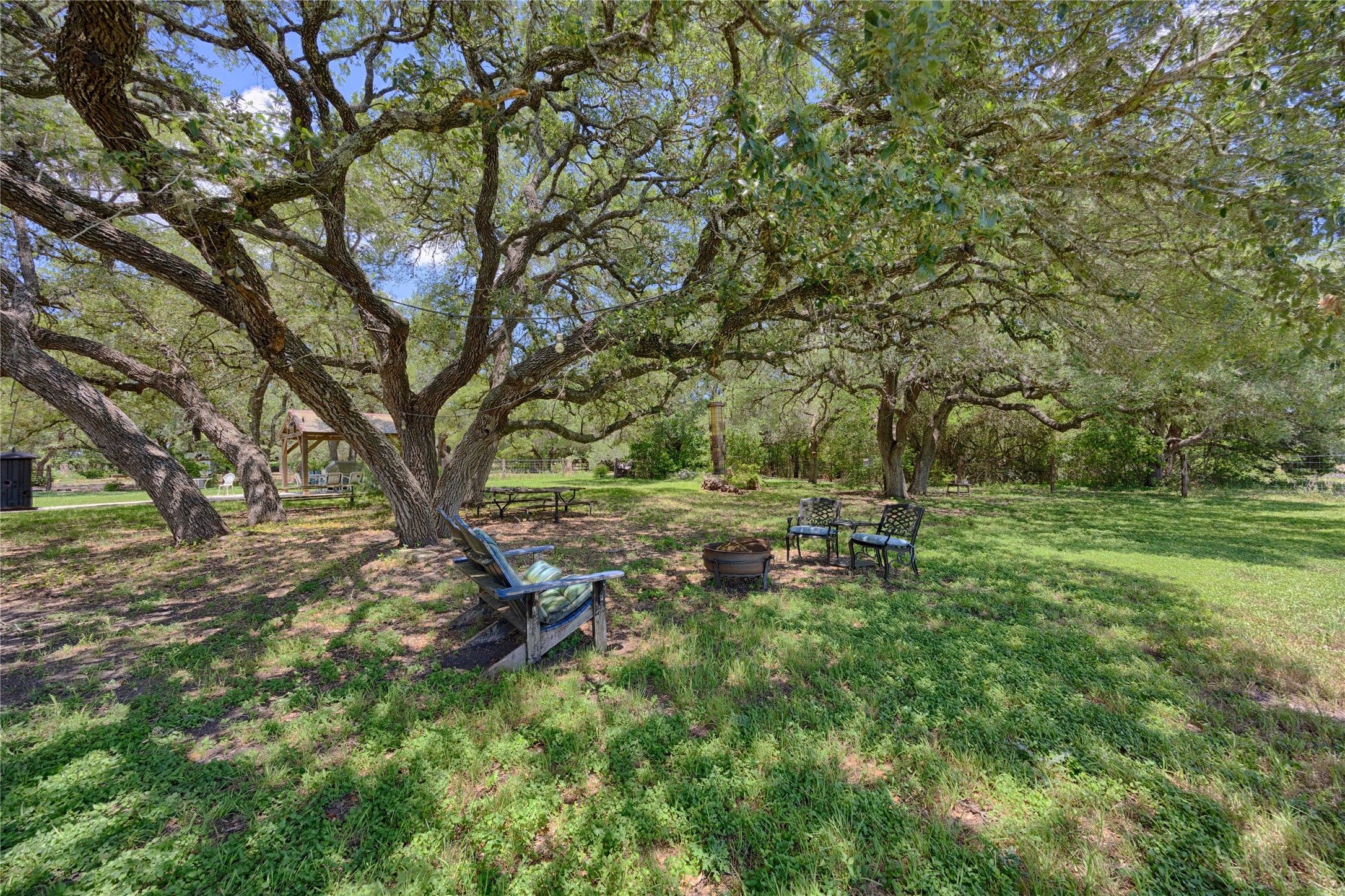 900 Schulze Road Muldoon, TX 78949 - Photo 35 of 47 a view of backyard with green space