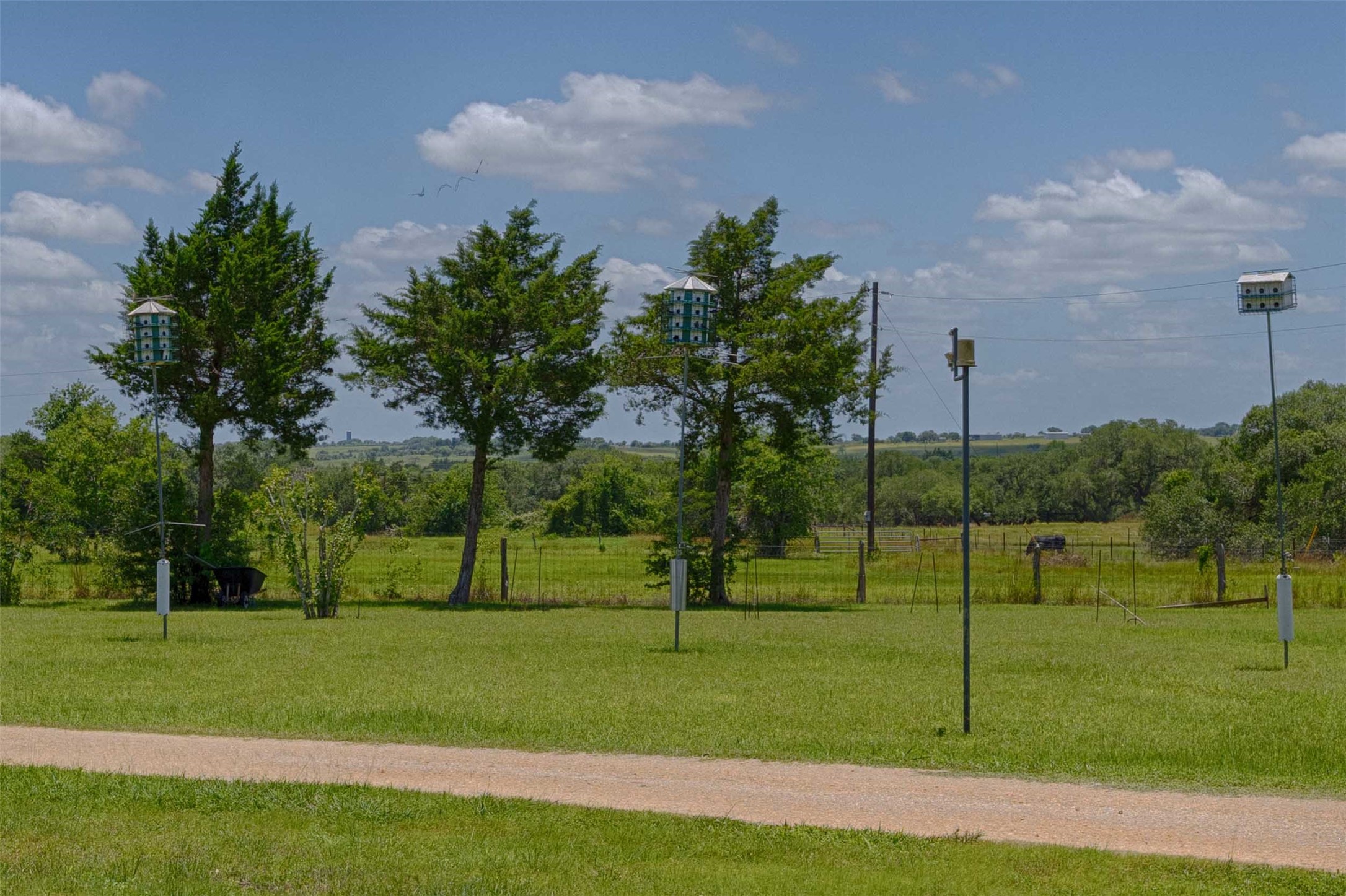 900 Schulze Road Muldoon, TX 78949 - Photo 42 of 47
