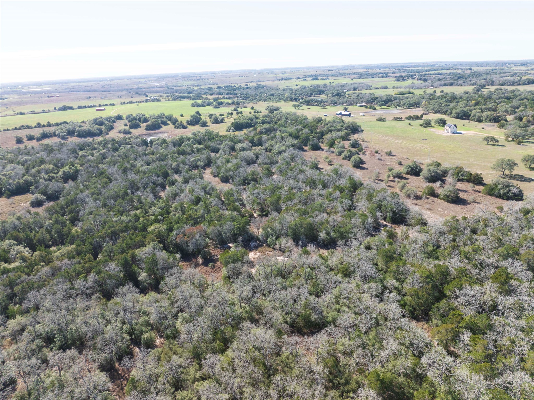 900 Schulze Road Muldoon, TX 78949 - Photo 47 of 47 an aerial view of residential houses with outdoor space and trees