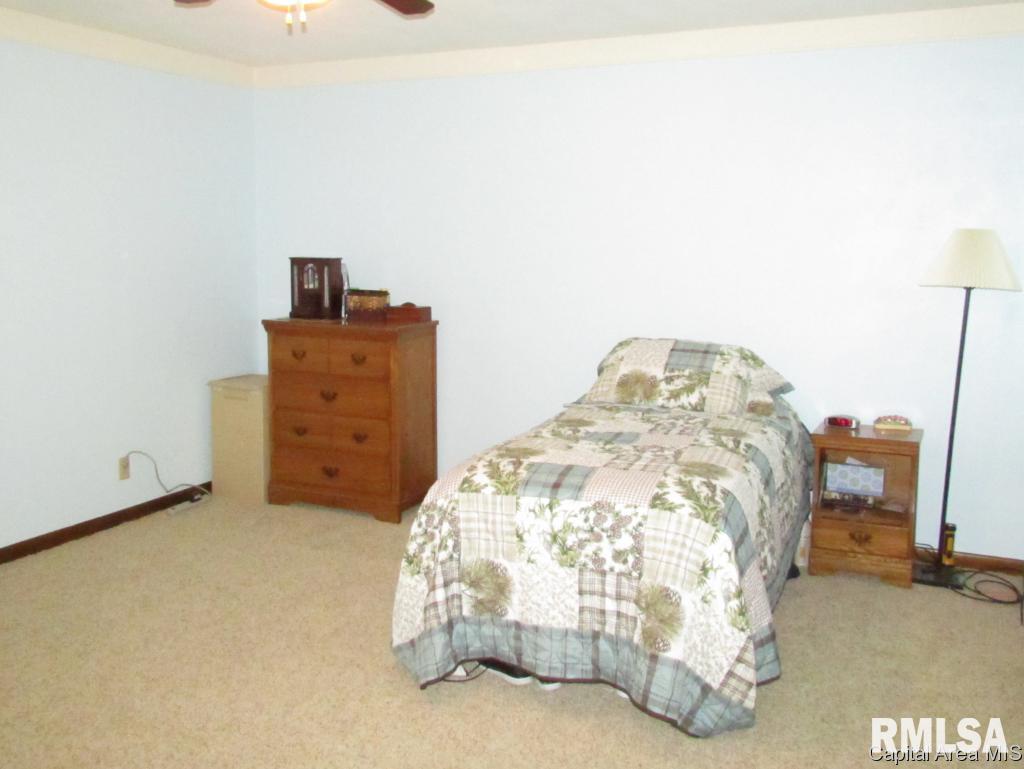417 Armor Road Springfield, IL 62704 - Photo 11 of 19