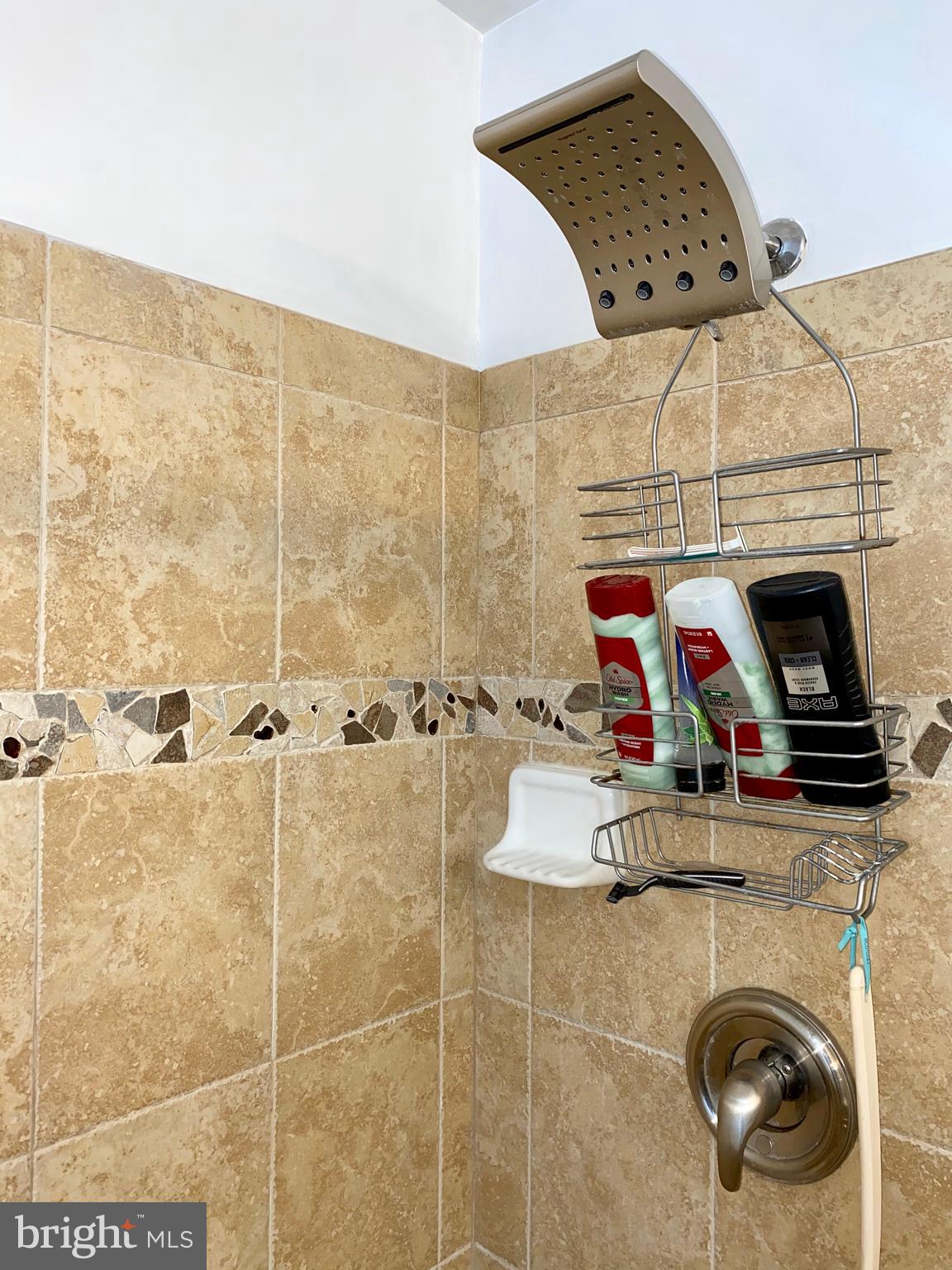 682 Tivoli Road Frederick, MD 21703 - Photo 39 of 58 Master Bath Rain Showerhead