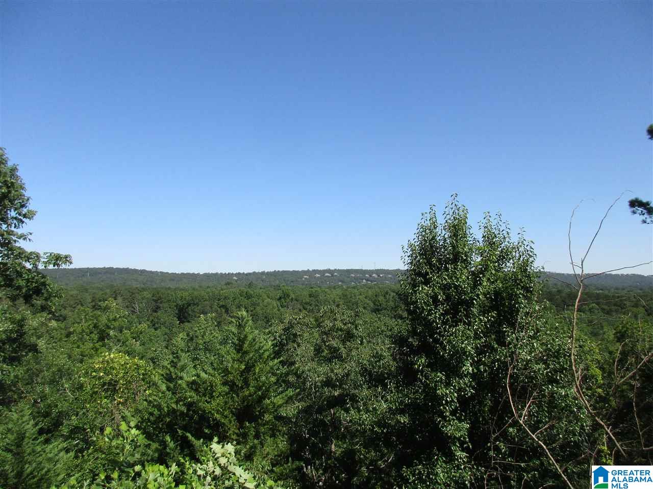412 Conroy Circle Sterrett, AL 35147 - Photo 5 of 45