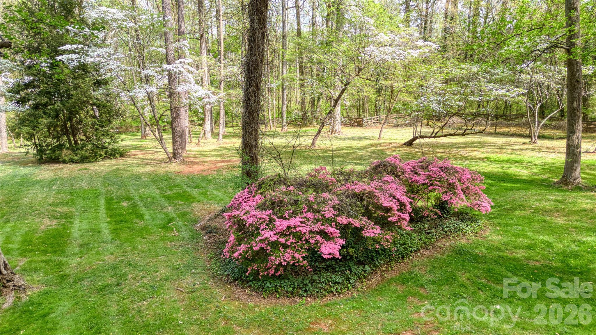 5510 South Main Street Salisbury, NC 28147 - Photo 37 of 43 a view of a park with large trees