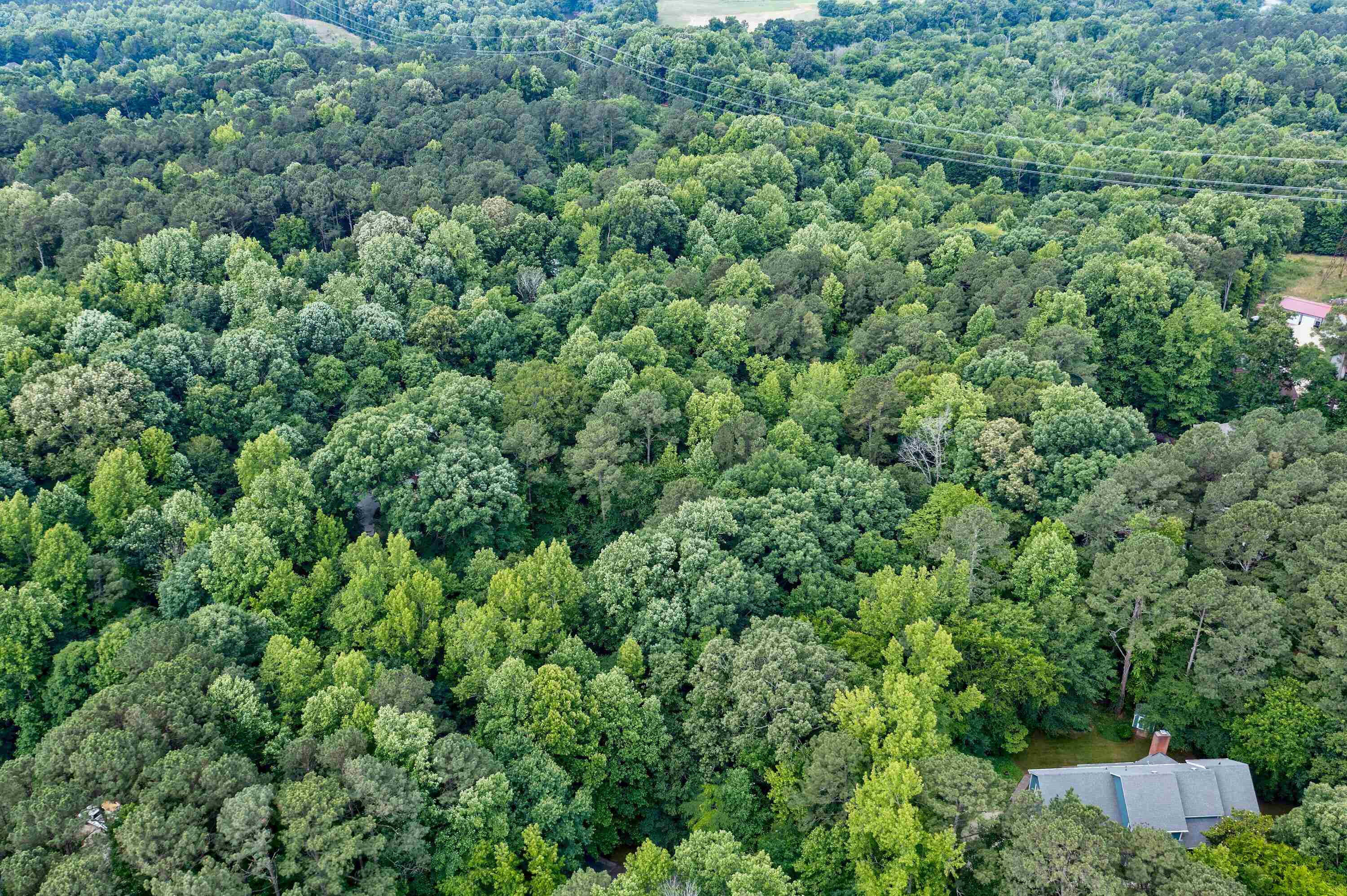 0 Wildrock Circle Raleigh, NC 27610 - Photo 5 of 11 Photo 5