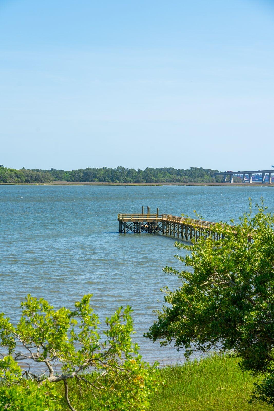 401 Wayfaring Point Daniel Island, SC 29492 - Photo 93 of 155