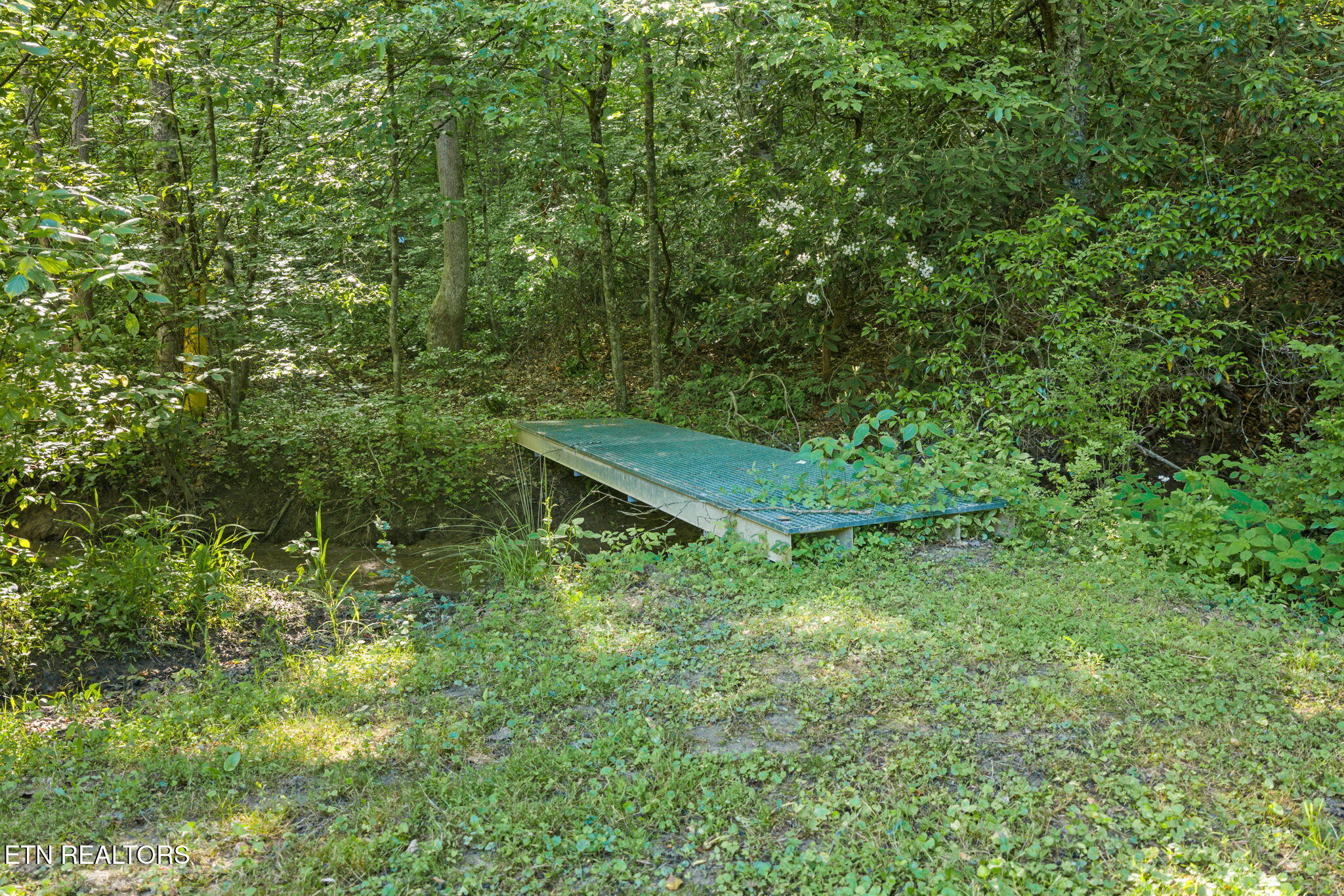 369 Back Valley Road Oliver Springs, TN 37840 - Photo 11 of 27 25-web-or-mls-369 Back Valley--18