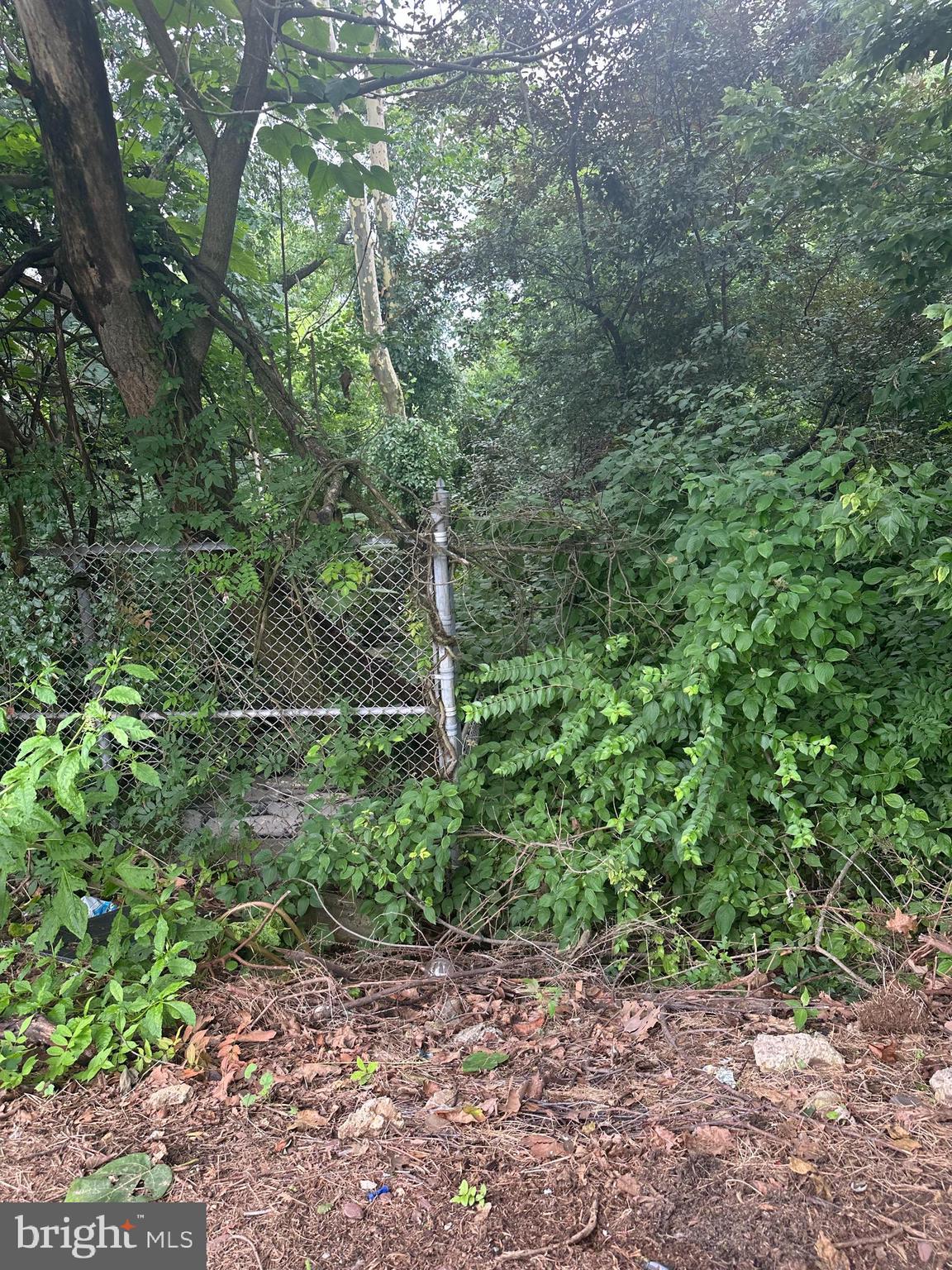 8817 Danbury Street Philadelphia, PA 19152 - Photo 9 of 10 a backyard of a house with lots of green space